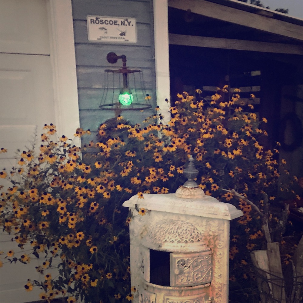 Meet your Posher, Suzanne